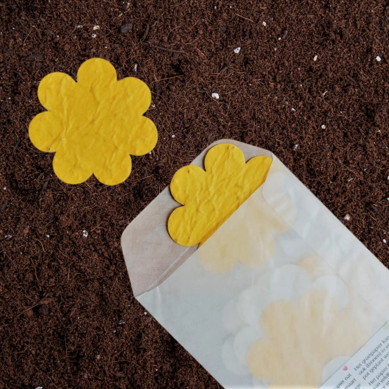 10x Bloem 6cm | Geel (Standaard Groeiconfetti Sticker)