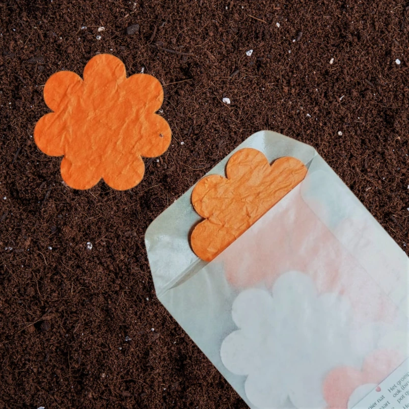 10x Bloem 6cm | Oranje (Standaard Groeiconfetti Sticker)
