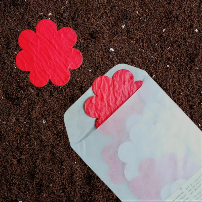 10x Bloem 6cm | Rood (Standaard Groeiconfetti Sticker)